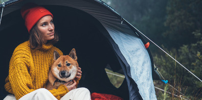 ¿Te apetecería que estuviéramos ahora en casa en vez de en este camping?